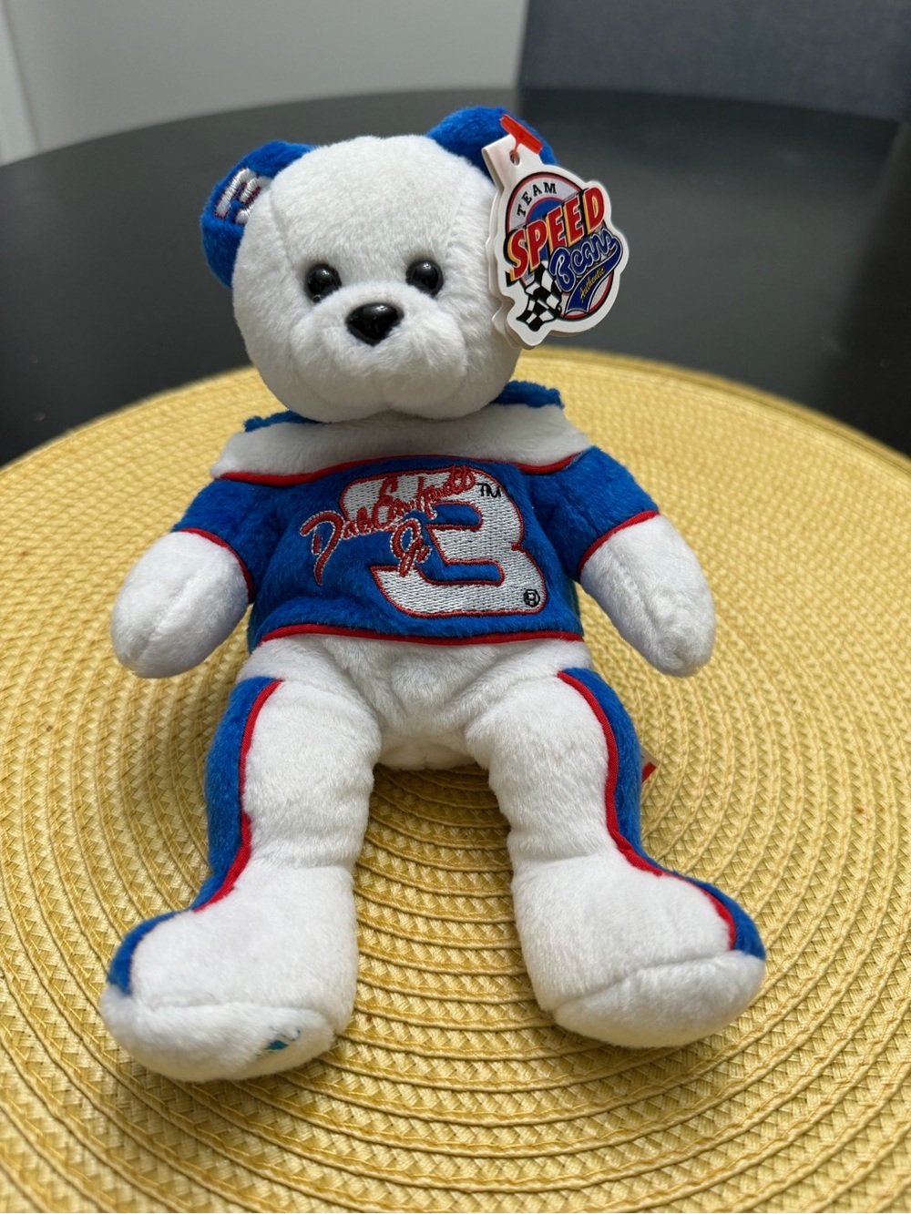 Dale Earnhardt Jr. Speed Team Blue & White Plush Bear - Racing Theme Kids Toy